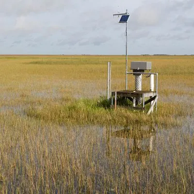 thumbnail for publication: Why do we need environmental monitoring for Everglades restoration?